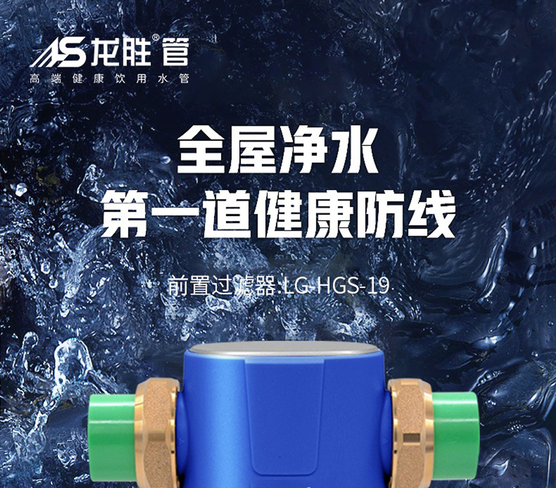 龍勝前置過濾器LS-HGS-19